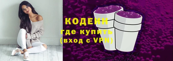 спиды Богородицк