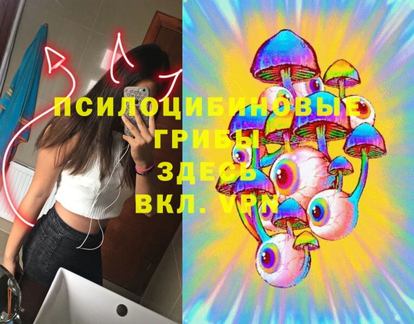 спиды Богородицк