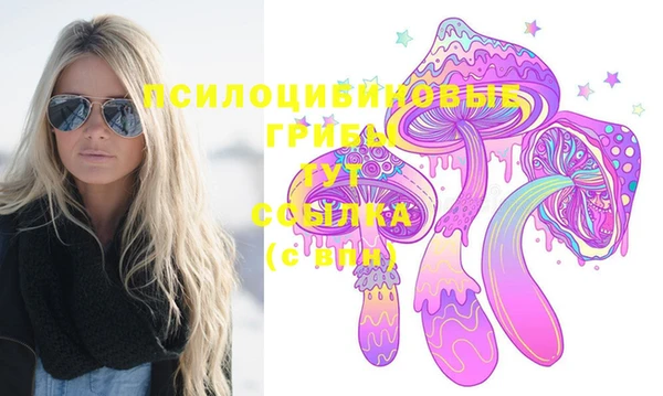 прущая мука Бородино