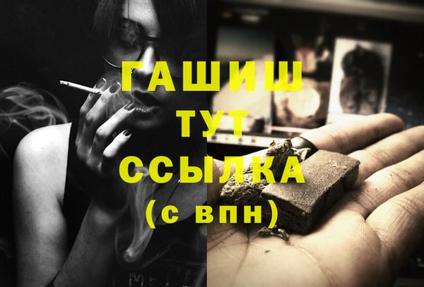 спиды Богородицк
