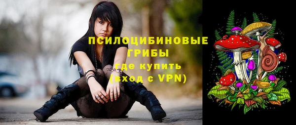прущая мука Бородино