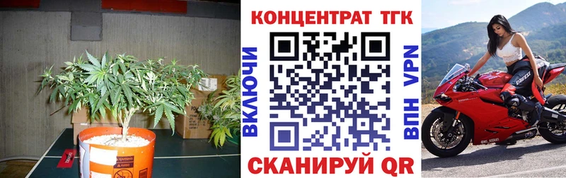 где найти   Онега  ТГК вейп с тгк 