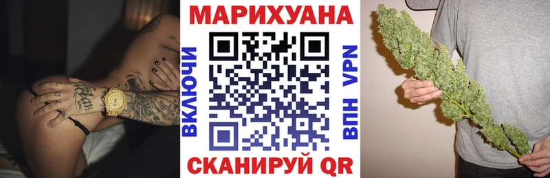 Бошки Шишки планчик  Онега 